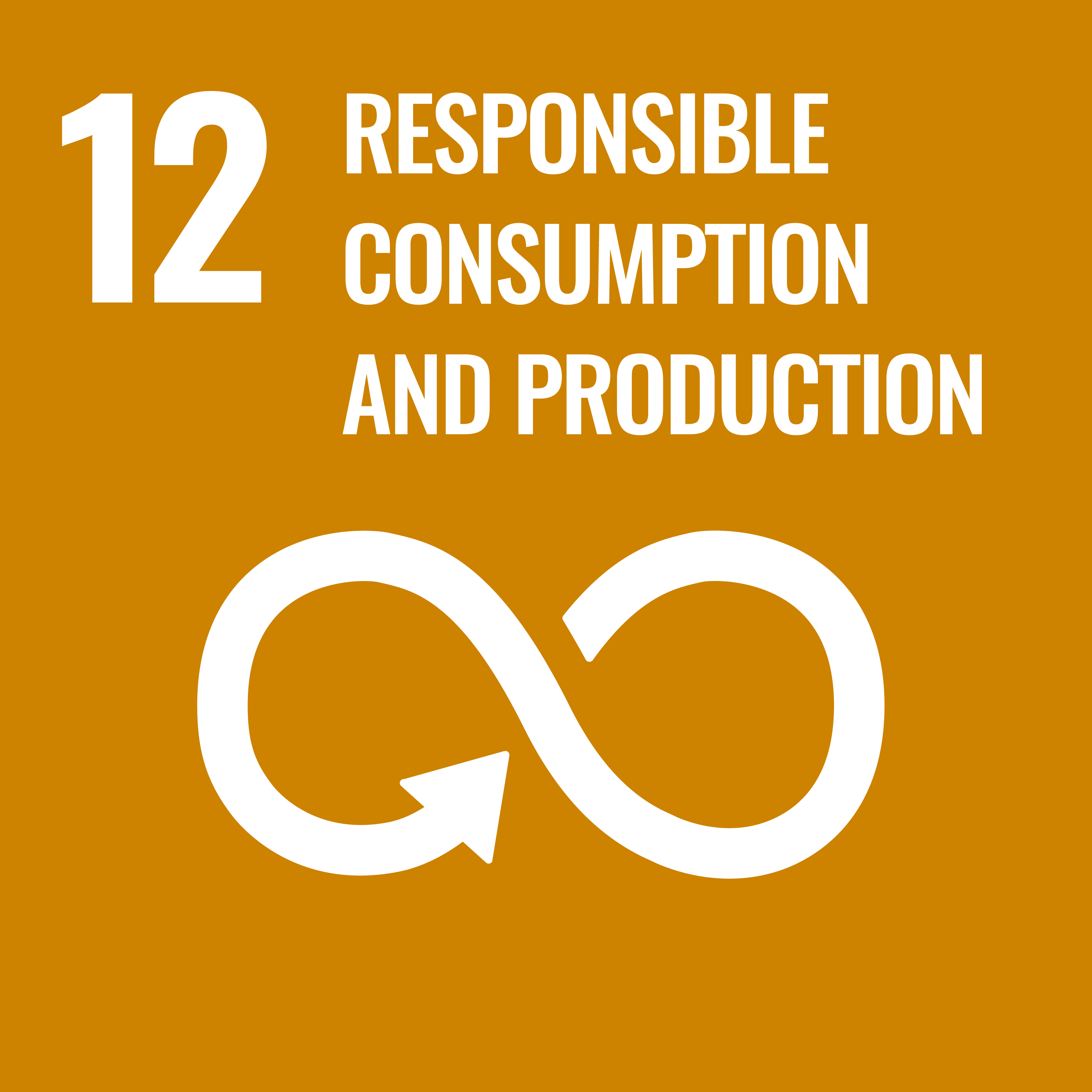12- Responsible Consumption & Production