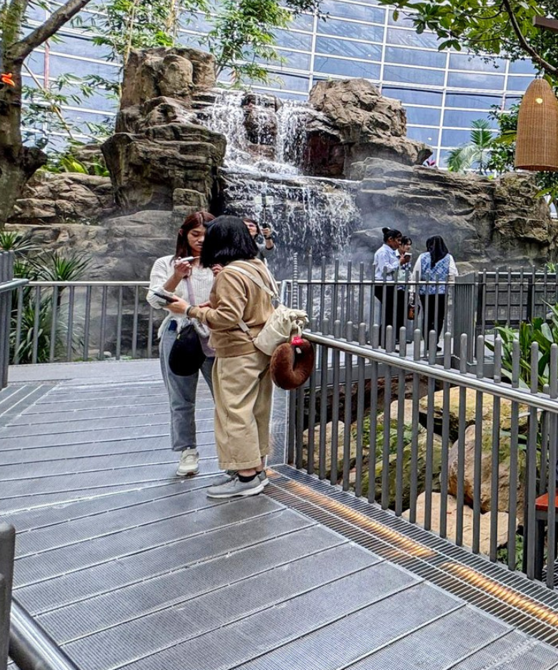 Biodiversity Conservation and Preservation