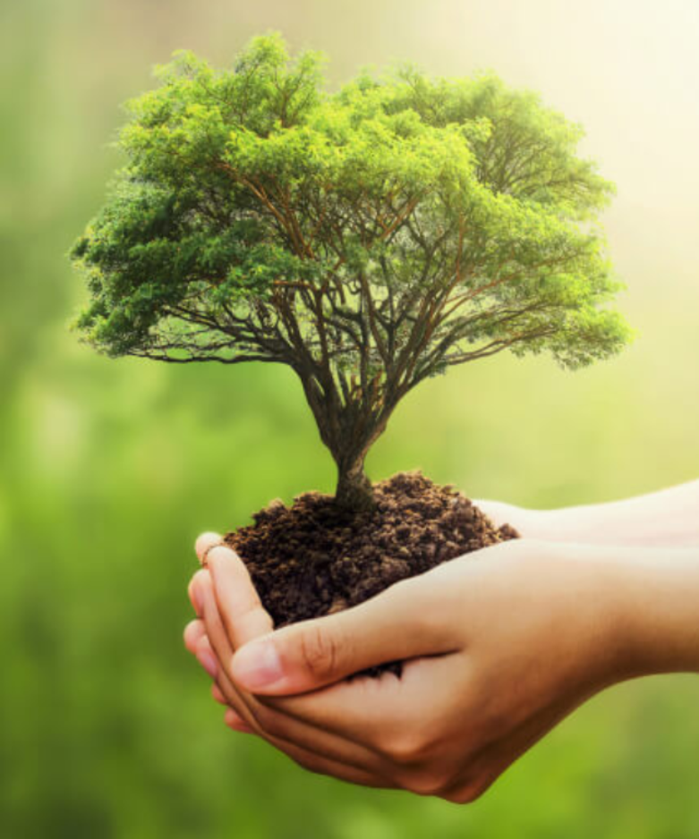 environmental management